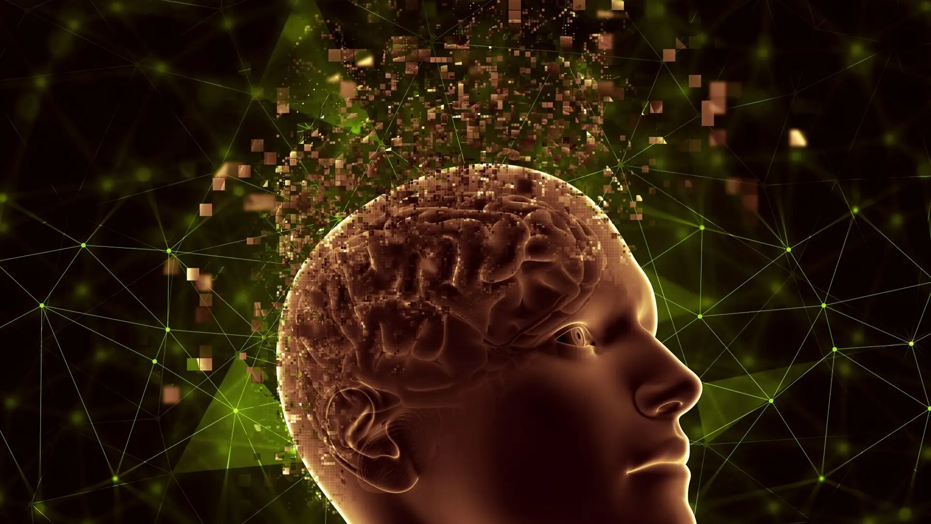 Especialização Livre em Neurociências